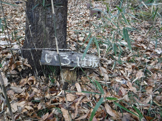 釜房山hike