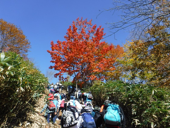 泉ヶ岳hike