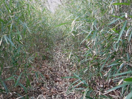 釜房山hike
