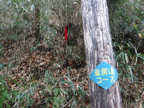 釜房山hike