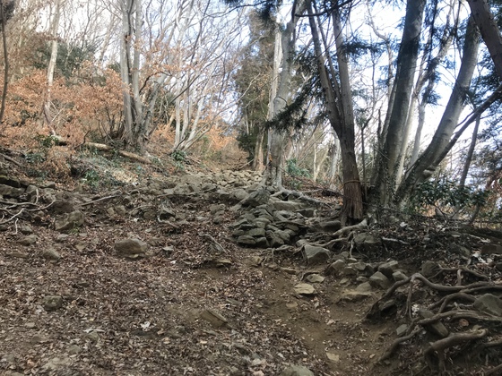 太白山hike