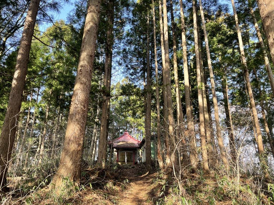 笹倉山hike