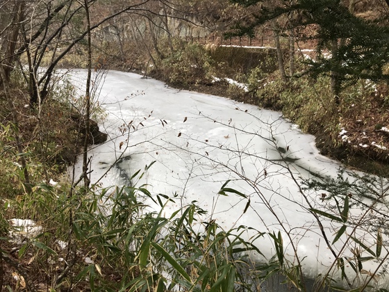 サイカチ沼hike