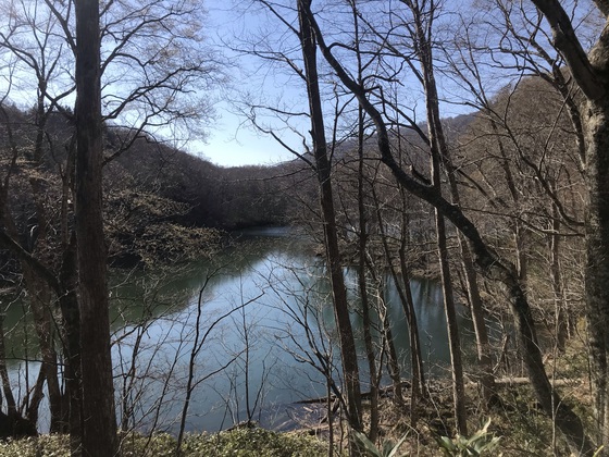 氾濫原(大倉山)hike