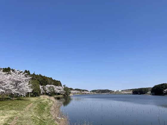 宮城オルレ登米コース