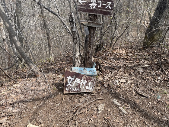 戸神山hike