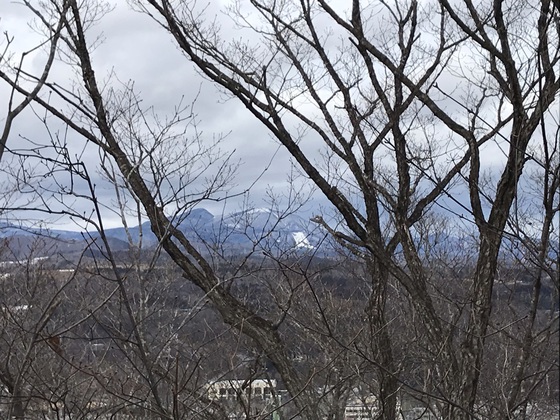サイカチ沼hike