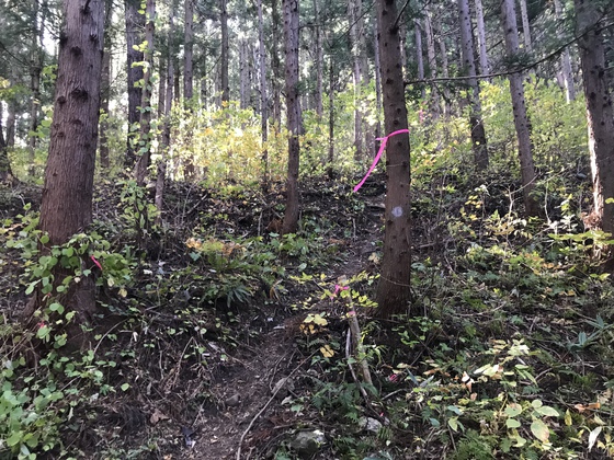 寒成山hike
