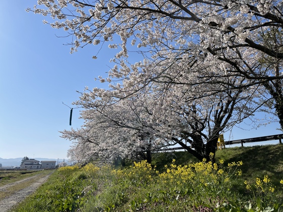 宮城オルレ登米コース