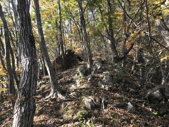 寒成山hike