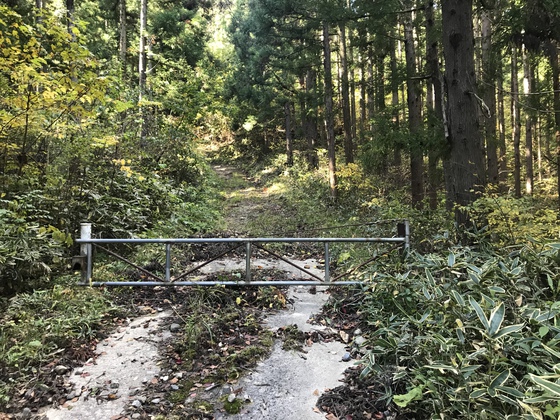 寒成山hike
