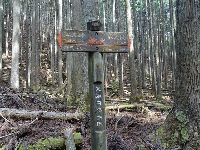 京都一周トレイル第七弾！大原の里から鞍馬･貴船を目指す～今回の難所は江文峠か薬王坂か～