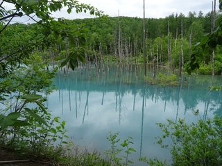 北の大地へ⑩～旅の終わり、旅のまとめ～