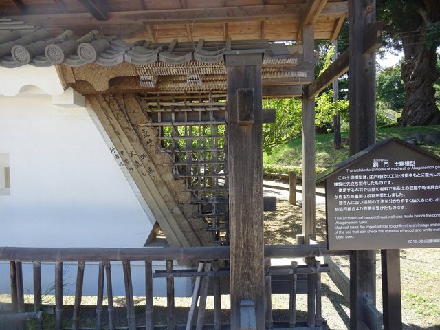 番外編・はむおじさんの夏休み2019～箱根の山は天下の険なのだ。