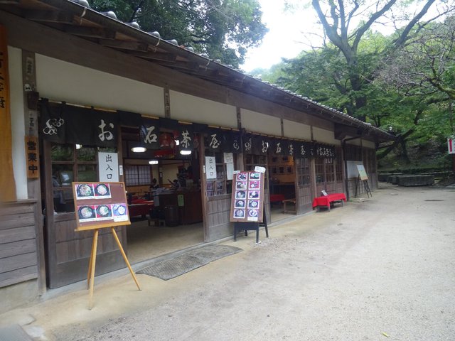 秋の九州旅④～土砂降りの福岡の楽園に綾瀬はるか出現？