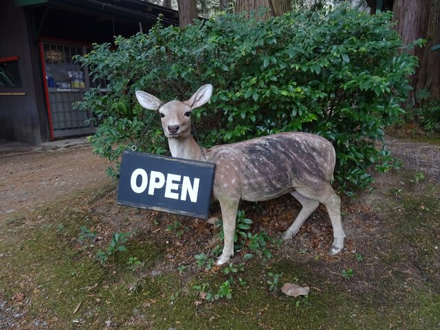 寒空の下、熱燗を愉しむ節分ソロキャンプ～初めてのキャンプ場で春を迎える～