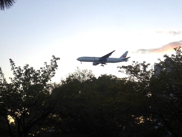 ひょんなことから神奈川の旅③～飛行機を見ながらデイキャンプ、からの、夜の河原でファミマのお稲荷さんを喰らう～