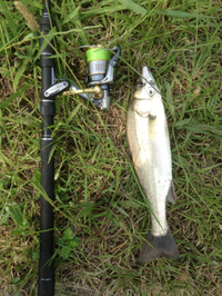 河川巡回 2014/07/05 12:48:19