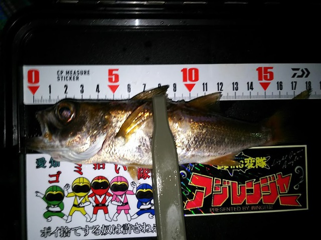 思い立って爆走・・・