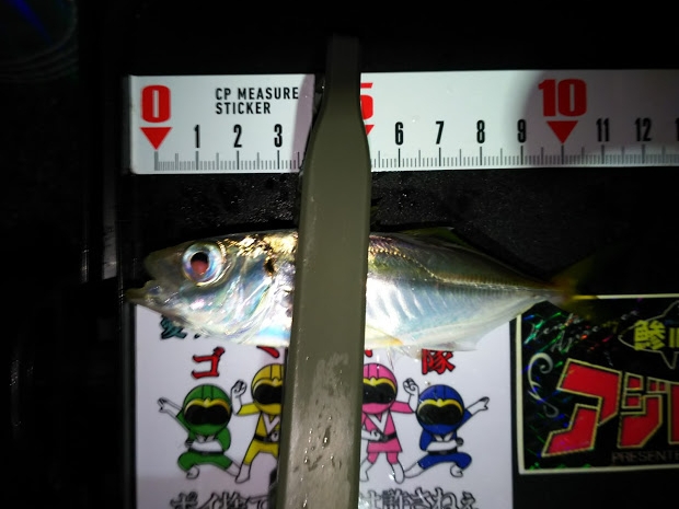 思い立って爆走・・・
