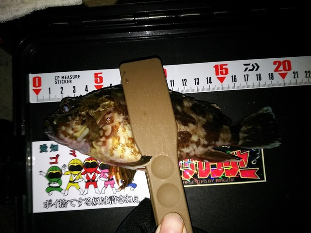 雨なのに・・・