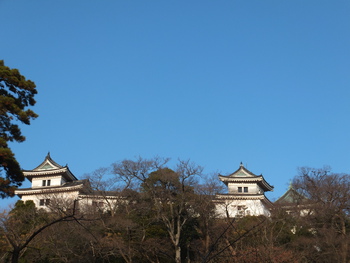 和歌山城　攻城戦記