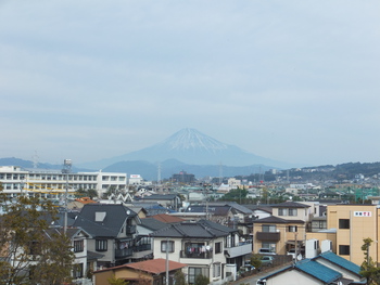 静岡市内　ぶらり旅