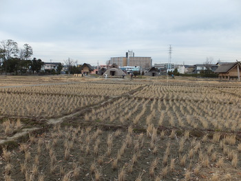 静岡市内　ぶらり旅