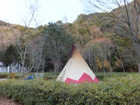 大久保ほっかほか祭り