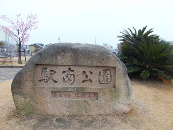 河津桜ではなく・・・・・・！？