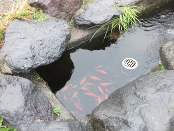 浮きウキの泉へ！？