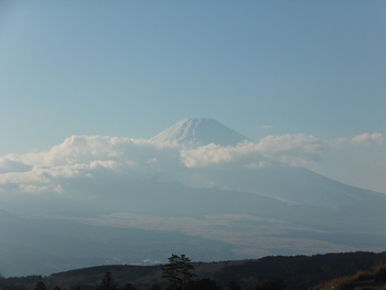 やっと更新できました