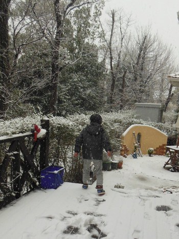 雪すごかったですね