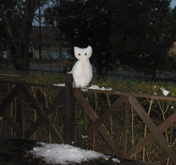 雪すごかったですね