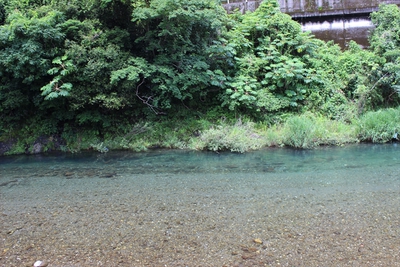 かわうそ自然公園施設情報