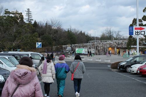 国営讃岐まんのう公園イルミネーション