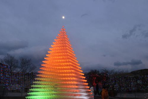 国営讃岐まんのう公園イルミネーション