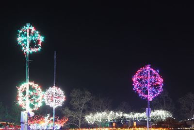 国営讃岐まんのう公園イルミネーション