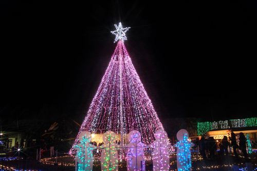 国営讃岐まんのう公園イルミネーション