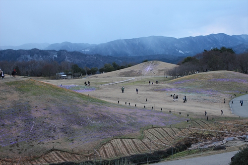 国営讃岐まんのう公園「ウィンターファンタジー」2020（前編）