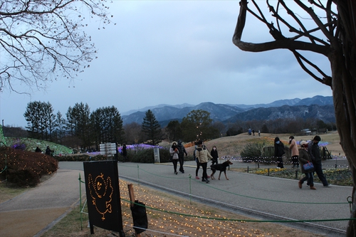 国営讃岐まんのう公園「ウィンターファンタジー」2020（前編）