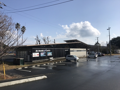 土佐清水でワーケーション準備（前編）