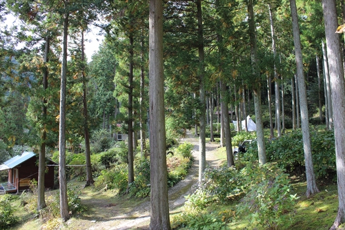 二本栗キャンプ村施設情報