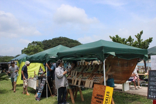 国立公園キャンプ IN 土佐清水（後編）