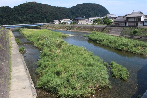 国立公園キャンプ IN 土佐清水（後編）