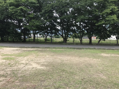 大人も子供も楽しいキャンプ