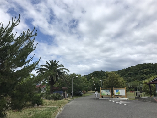 美味しいキャンプ