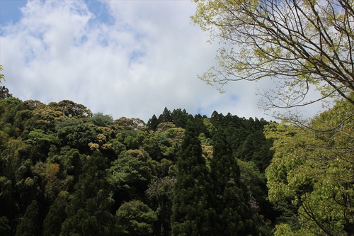 「安田川アユ踊る清流キャンプ場」リニューアルオープン（前編）