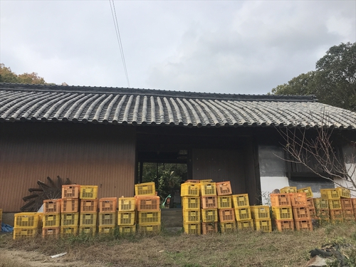 のんびりとソロキャンプ（前編）