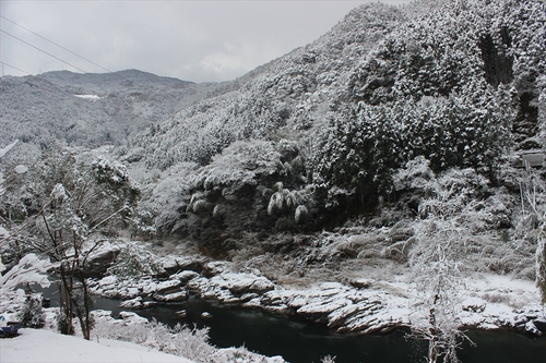 196主催の新年会（雪国～snow peak高知）